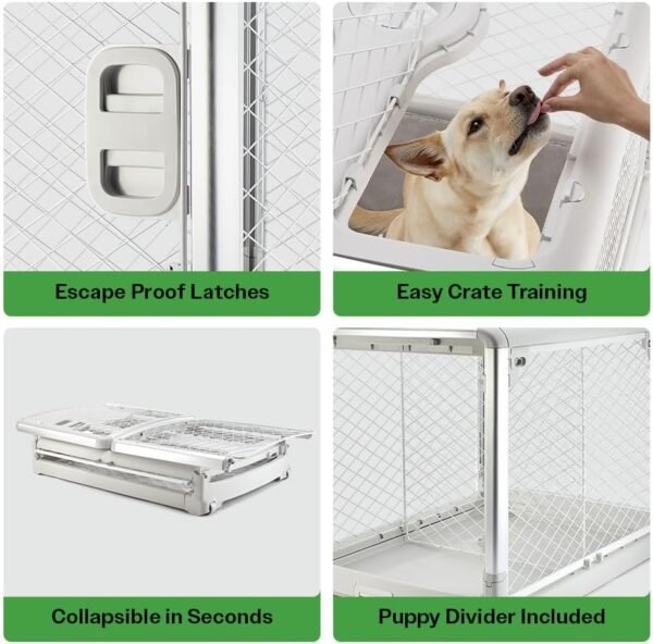 DIGGS Revol Collapsible Dog Crate with Wheels - Premium Portable Dog Crate - Safe, Stylish, and Convenient Indoor Kennel (Ash, Intermediate) - Image 3